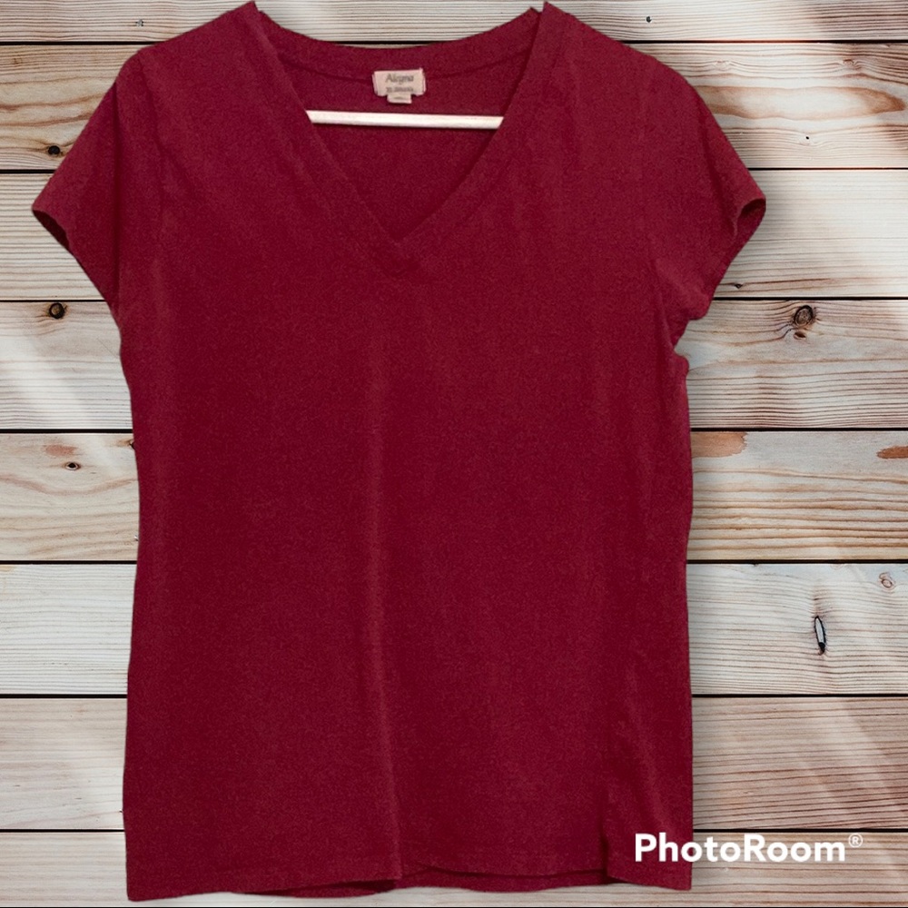 Aleyna by Zenana v-neck tee